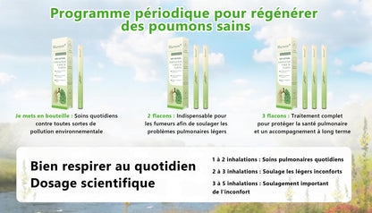 Diffuseur 𝑴𝒖𝑟𝑤𝗈𝗇® à base de plantes Mullein pour le nettoyage des poumons (🫁 Toux, pharyngite, essoufflement, expectorations, nez bouché, bronchite, symptômes allergiques, inconfort pulmonaire)🌐